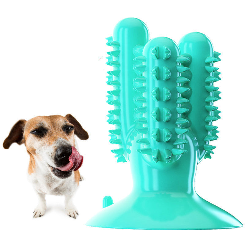 Beagle dog enjoying Brighty ChewCactus turquoise dental chew toy with massage nubs