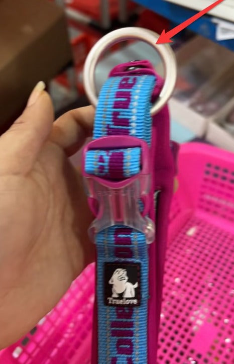 Close-up of TrueLove collar quick-release buckle and reflective safety strips
