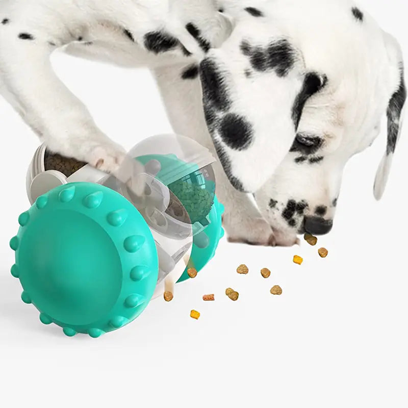Dalmatian dog playing with Brighty Rover turquoise treat dispenser ball
