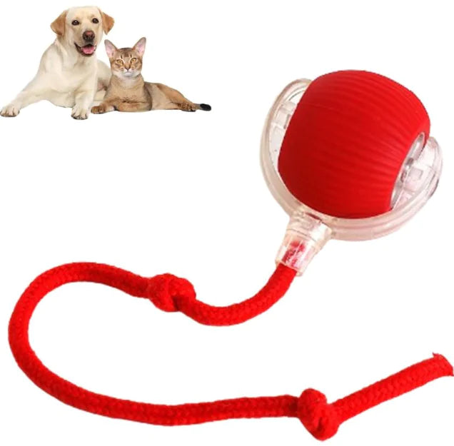 Brighty MotionBall in red - rechargeable smart ball toy for active dogs and cats