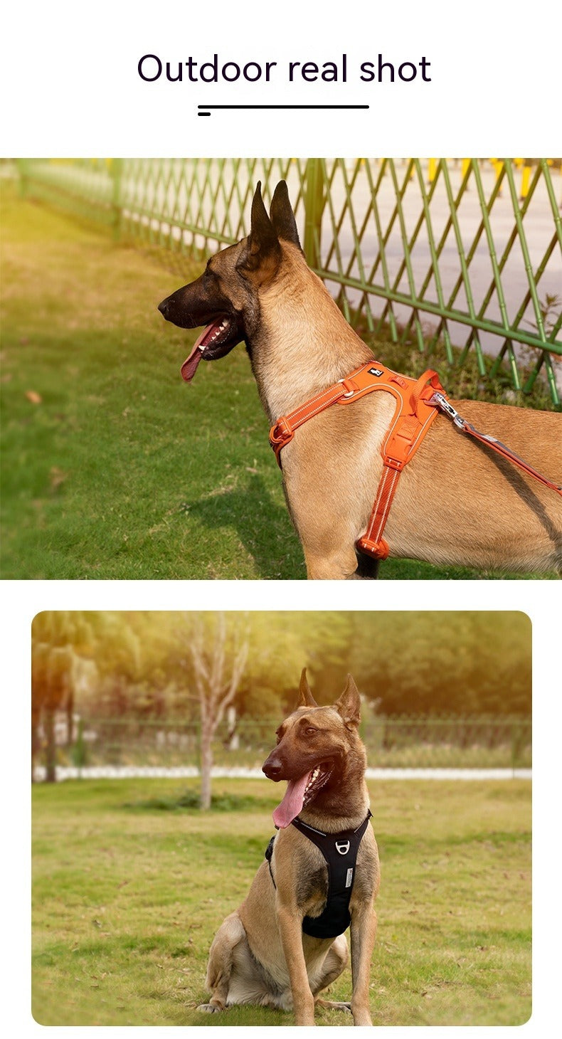 Belgian Malinois Dogs Wearing TrueLove Reflective Harness - Orange and Black Outdoor Walking Harness in Action