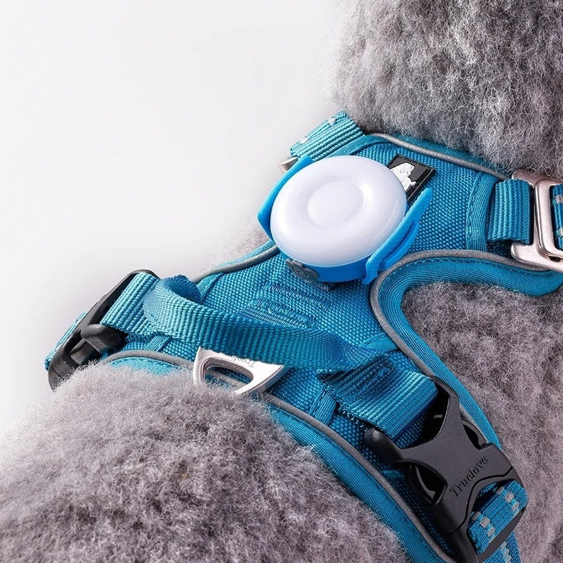 TrueLove NightGlow LED light clipped onto TrueLove blue dog harness – night walk safety